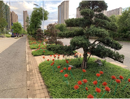 和平绿化苗木基地在哪个城市