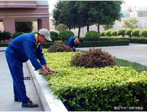 孝感景观园林绿化工程