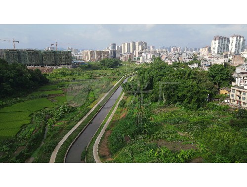 保山南京市园林绿化公司